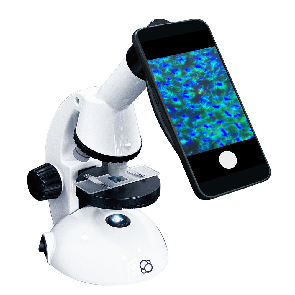 The Thames & Kosmos - Herramienta STEM Esencial Para Microscopio Con Adaptador Para Smartphone Para Capturar Y Ver Imágenes Microscópicas, Dispositivo