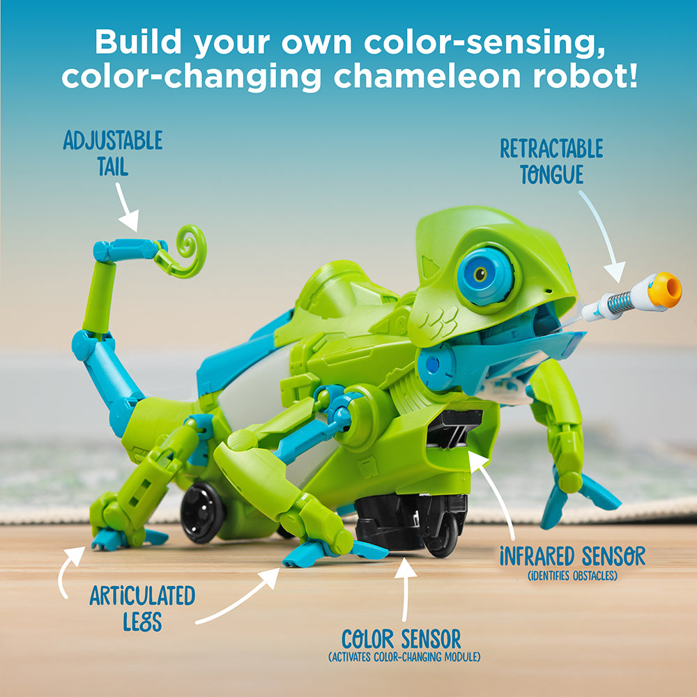 Coding Chameleon Model with diagram