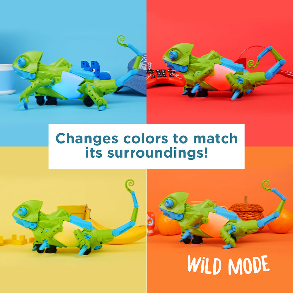 Coding Chameleon: Wild mode; change colors
