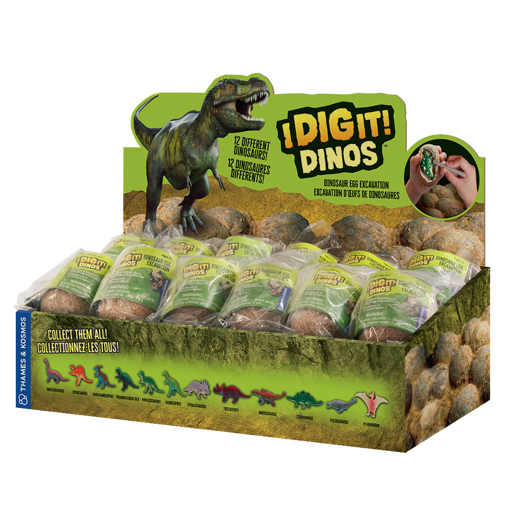 I Dig it! Dinos - Dino Egg (24-pc Display)- 2L (EN/FR) STEM Thames & Kosmos   