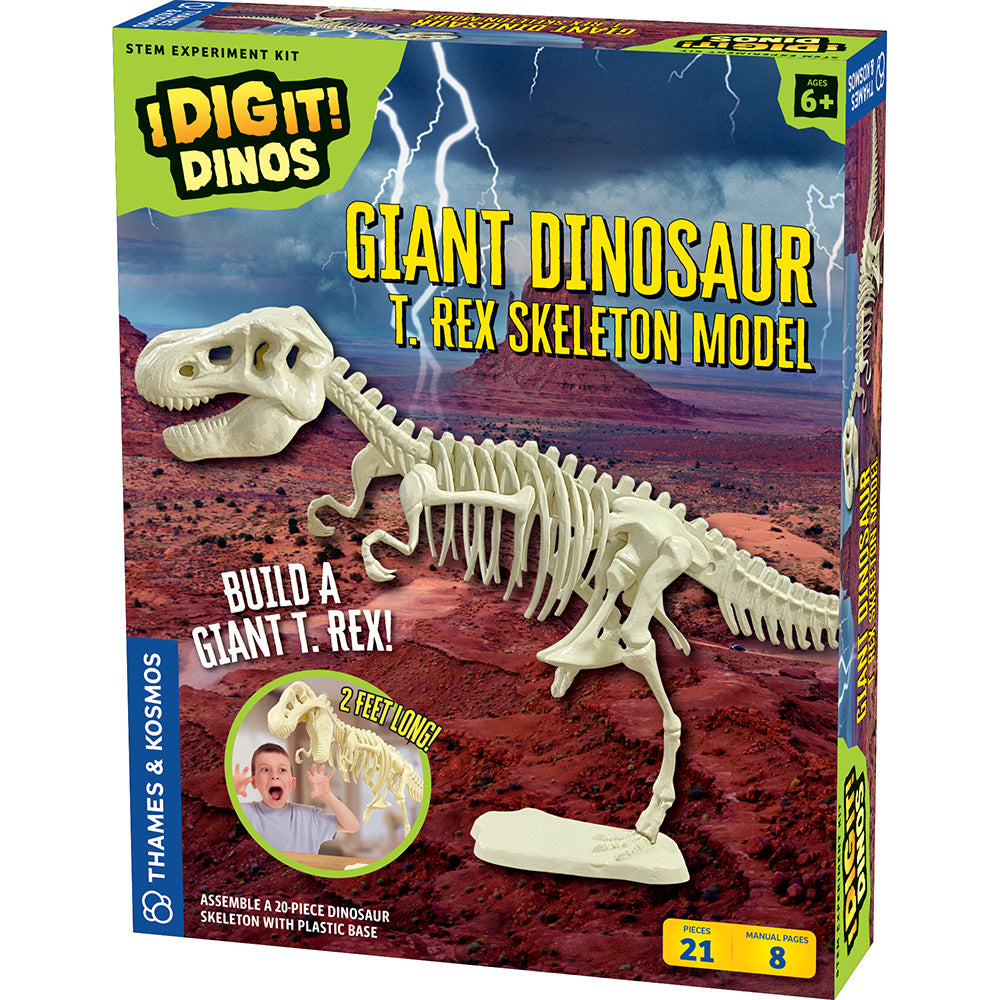 Giant Dinosaur Skeleton STEM Kit | Assemble a 2-Foot Long T. Rex ...