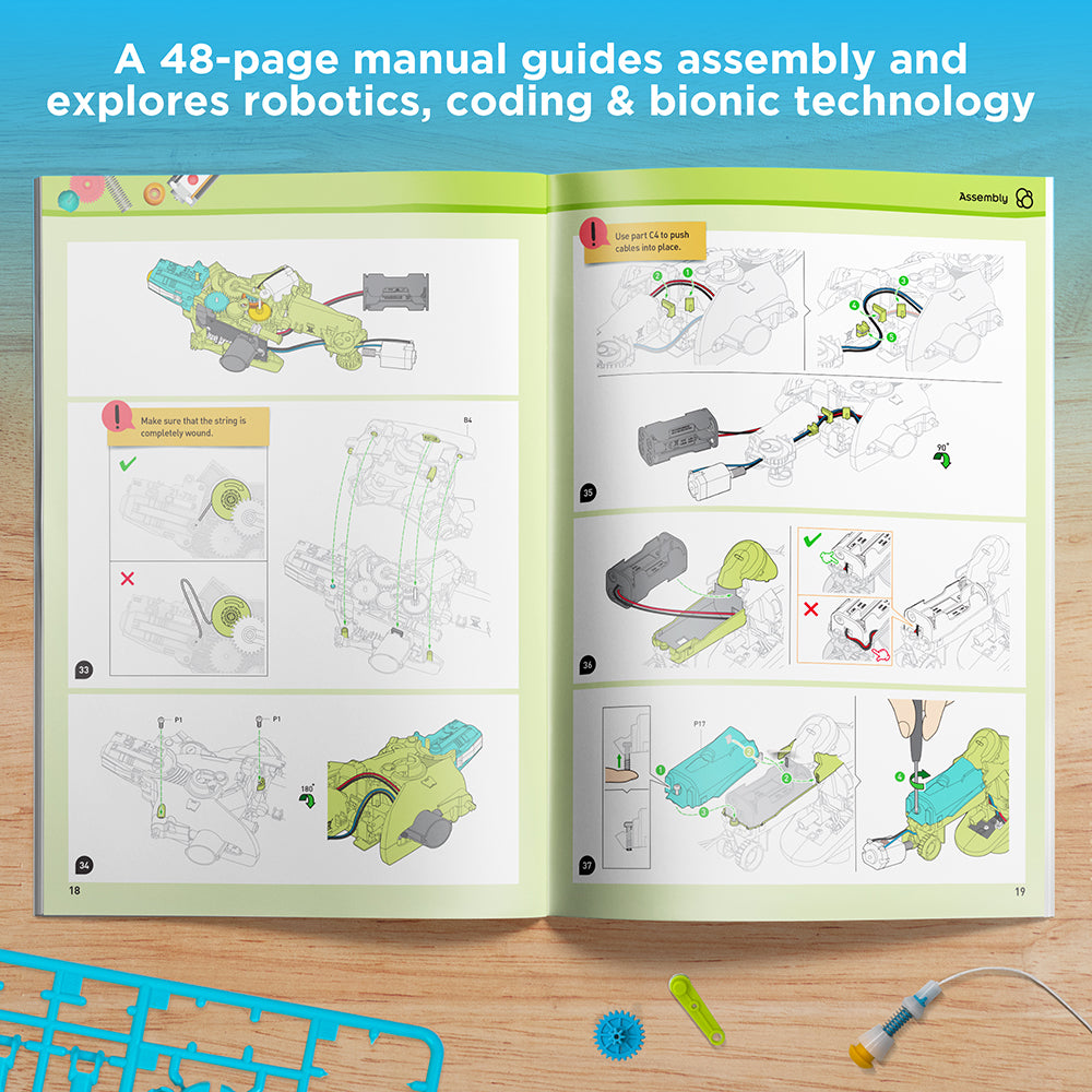 Coding Chameleon: Manual