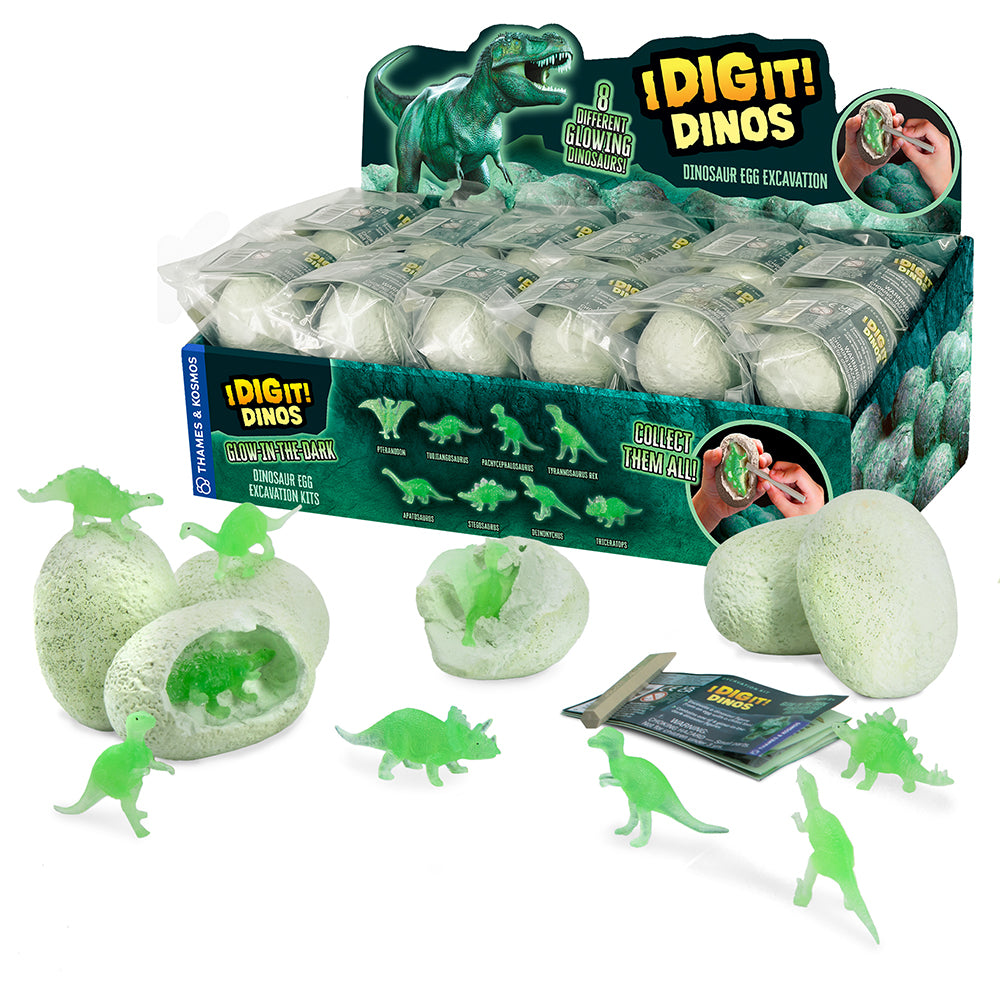 I Dig It! Dinos - Glow-in-the-Dark Dino Egg (24-pc Display) STEM Thames & Kosmos