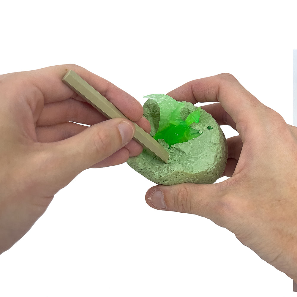 I Dig It! Dinos - Glow-in-the-Dark Dino Egg (24-pc Display) STEM Thames & Kosmos