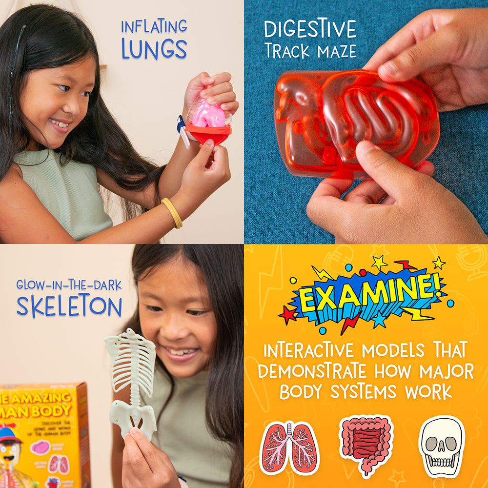 WOW in the World Human Body: interactive educational experiments
