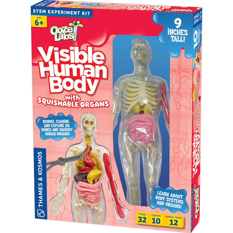 Ooze Labs: Visible Human Body with Squishable Organs STEM Thames & Kosmos   
