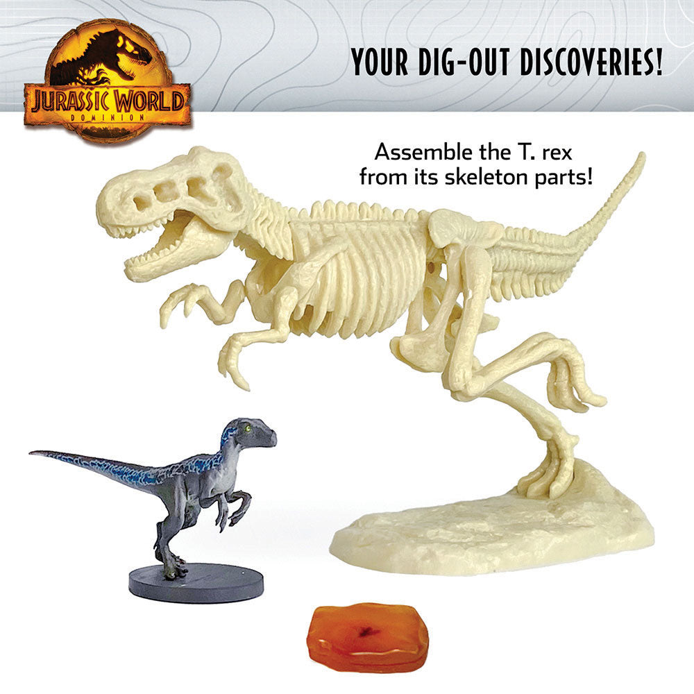 Dinosaurs Skulls Puzzle  Paleontology Learning Game