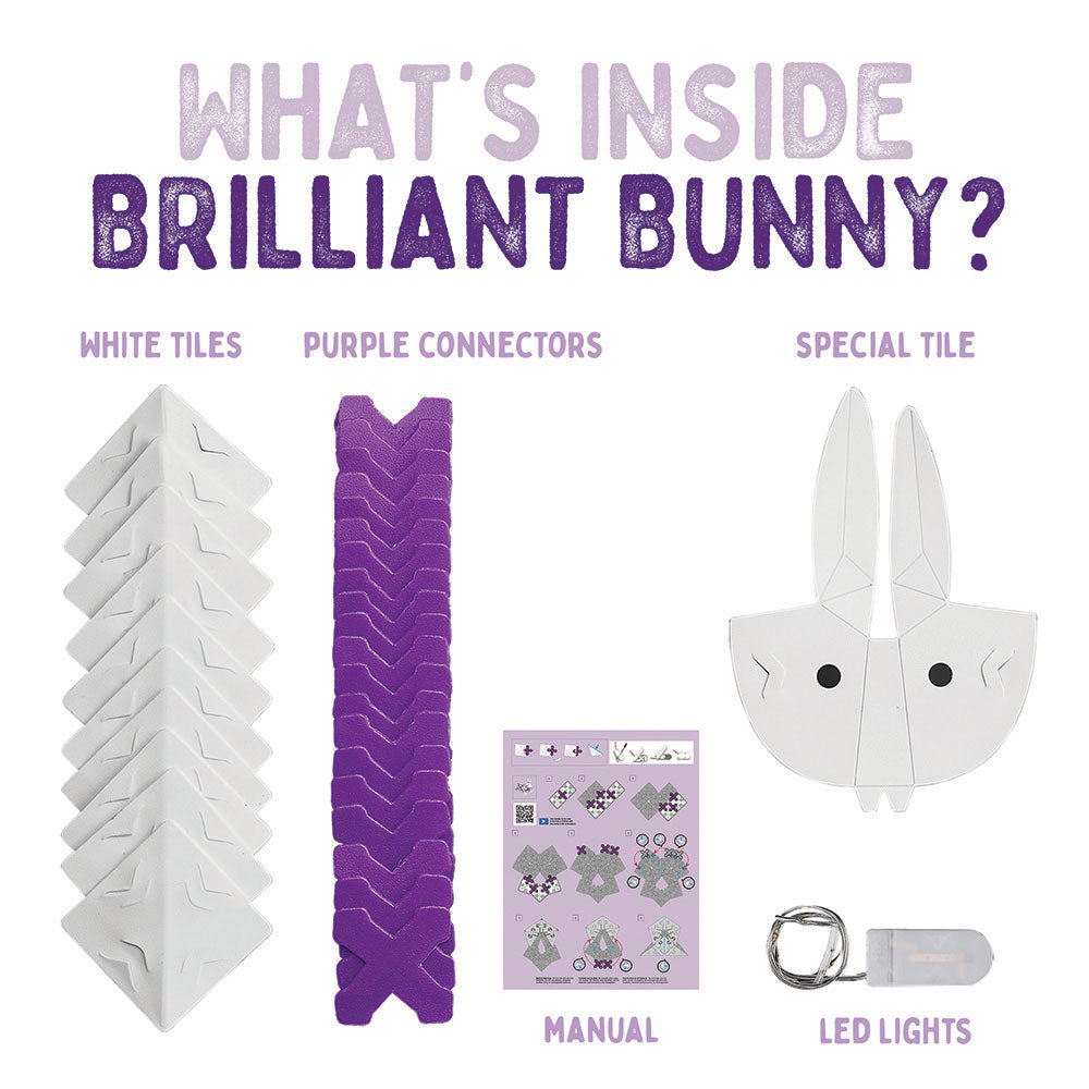 Creatto Barnyard Buddies 12-Pack Bundle - Brilliant Bunny, Dazzling Ducky, and Playful Piggie in Display STEM Thames & Kosmos   